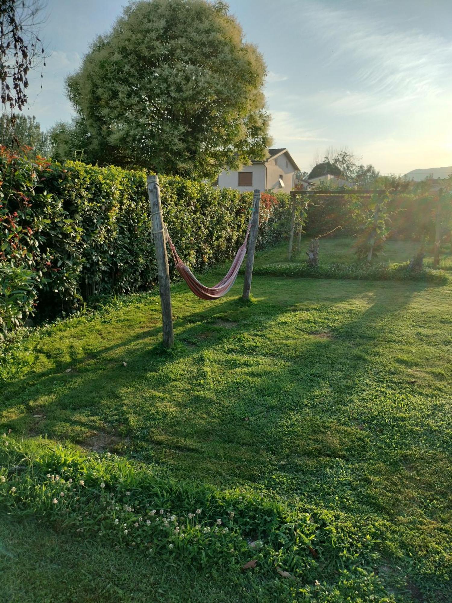 B&B La Rosa Nel Verde 卢卡 外观 照片